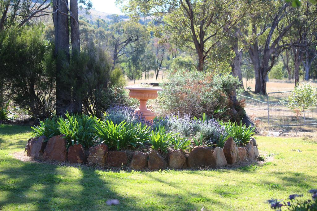 Rosebank Homestead And Farmstay Dalby Εξωτερικό φωτογραφία