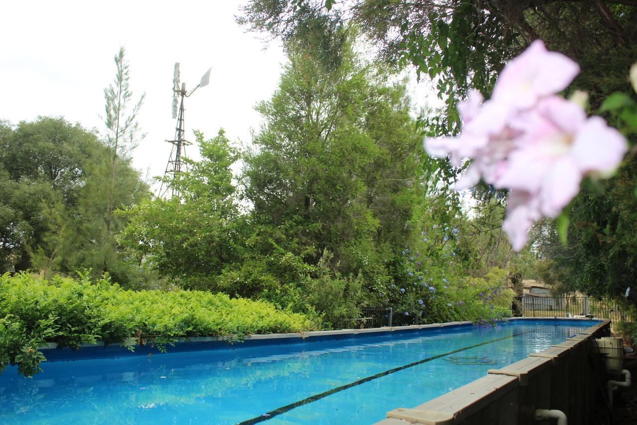 Rosebank Homestead And Farmstay Dalby Εξωτερικό φωτογραφία